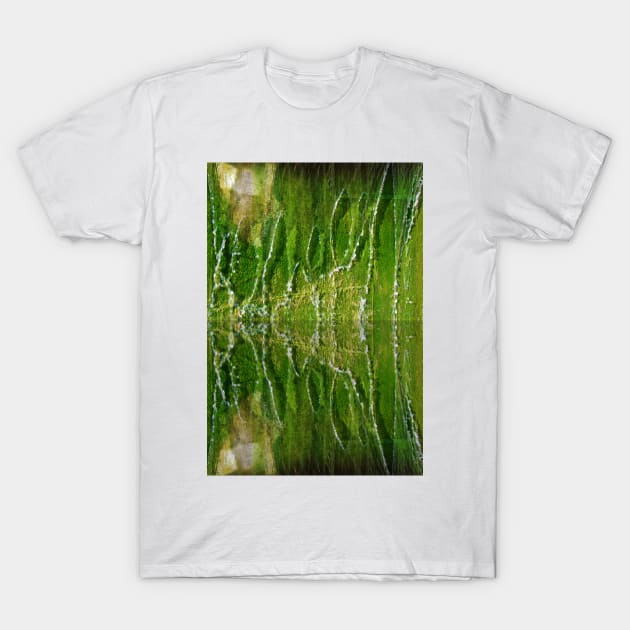 Fountain Reflections T-Shirt by Cynthia48